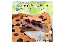 贅沢トッピングのベイクドチーズケーキ 奥野牧場 ブルーベリースペシャル ホール (大)｜米粉 グルテンフリー チーズ ケーキ スイーツ フルーツ ミルク 牧場 ギフト お祝い 袖ケ浦 [0493]