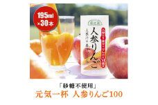 砂糖不使用 人参りんご 195g×30本 順造選｜無添加 無塩 健康 にんじん リンゴ ジュース ドリンク カロテン 長期保存 [0429ch]
