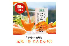 砂糖不使用 果汁100% 元気一杯 にんじん100 195g×30本 順造選｜無添加 無塩 健康 人参 ドリンク カロテン 長期保存 [0430ch]
