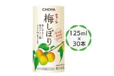 チョーヤ 梅しぼり 125ml ×30本 南高梅100% 甘酸っぱい梅ドリンク 14%梅果汁 体にやさしいクエン酸 カートカン使用｜梅ジュース 梅ドリンク 梅果汁 クエン酸 カートカン 紀州産南高梅 梅果汁飲料 ノンアルコール 食品添加物無添加 [0431ch]