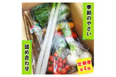 [定期便／年4回] 袖ケ浦市の大地のめぐみ 季節のやさい詰め合わせ｜野菜 直送  [0135ch]