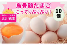 烏骨鶏 たまご 10個『北川鶏園 房総のあおぞら農場』｜卵 玉子 タマゴ ブランドたまご 産みたて 新鮮 プレミアム うこっけい [0249ch]