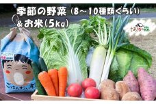 季節の詰合せ 野菜の宝箱 (お米5kg入り)｜新鮮 旬 採れたて やさい 米 詰め合わせ セット 産地直送 千葉 房総 袖ケ浦 [0377ch]