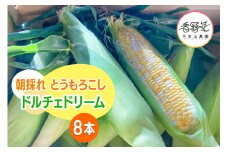 [期間限定] 朝採れ とうもろこし ドルチェドリーム 平安山農園【6月発送】｜旬 新鮮 野菜 トウモロコシ 直送 甘い 高糖度 人気 お取り寄せ 袖ケ浦 房総 千葉 [0393ch]