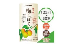 [定期便／3ヶ月] チョーヤ 梅しぼり 125ml ×30本 南高梅100% 甘酸っぱい梅ドリンク 14%梅果汁 体にやさしいクエン酸 カートカン使用｜梅ジュース 梅ドリンク 梅果汁 クエン酸 カートカン 紀州産南高梅 梅果汁飲料 ノンアルコール 食品添加物無添加 [0453]