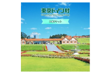 東京ドイツ村 入場チケット 1枚 [0470]