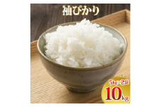 令和7年度産 袖ぴかり 10kg (5kg×2)｜米 おこめ こしひかり コシヒカリ 直送 推奨米 袖ケ浦 千葉 [0496]
