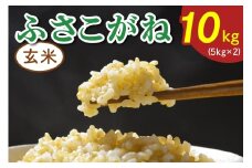 令和7年度産 ふさこがね《玄米》10kg (5kg×2)｜米 おこめ もっちり 弁当 袖ケ浦 千葉 [0519]