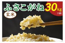 令和7年度産 ふさこがね《玄米》30kg (1袋)｜米 おこめ もっちり 弁当 袖ケ浦 千葉 [0520]