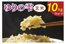 令和7年度産 ゆりの雫《玄米》 10kg (5kg×2)｜米 おこめ ふさおとめ 直送 推奨米 袖ケ浦 千葉 [0521]