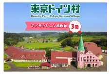 東京ドイツ村 アトラクション回数券 3冊｜旅行 観光 あそぶ 立ち寄り スポット デーマパーク レジャー チケット 見どころ アクアライン 房総 千葉 [0549]