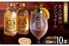 【八街市産生姜のみ使用】大人の辛口ジンジャーエール 250ml × 10本 ジンジャーエール 生姜 八街 ジュース ジンジャー 瓶 ビン セット 辛口