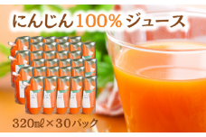 毎日飲める♪30パック【にんじん１００％】さらっと飲みやすい１００％人参ジュース 