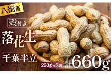 落花生 八街市産 660g 殻付き さや煎り 千葉半立 千葉 八街 220g×3袋 らっかせい ピーナツ ピーナッツ おつまみ おすすめ 人気 健康 千葉 八街 千葉県産 国産 美味しい 菓子 ギフト やちまた