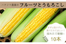 生で食べれるほどの新鮮さと甘さ！フルーツとうもろこし【10本入箱】