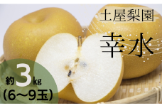 ＼数量限定／ 土屋梨園 幸水梨 3kg 申込受付中 ナシ なし 幸水 千葉県産 8月発送 千葉なし 先行予約 先行予約フルーツ  