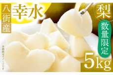 ＼数量限定 ／ 幸水 5kg 小川梨園 申込受付中 ！ 千葉県産 なし ナシ 8月発送 梨幸水 幸水梨 千葉県 千葉なし 先行予約