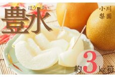 ＼ 数量限定 ／ 豊水梨 3kg 小川梨園 申込受付中 ！ 豊水 梨 なし 千葉県 千葉なし 梨豊水 9月発送 先行予約
