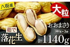 八街市産 塩ゆで 落花生 おおまさり 1140g 380g×3袋 冷凍 千葉 八街 落花生おおまさり ゆで レトルト 千葉県 遠藤ピーナツ 千葉県 らっかせい ピーナツ ピーナッツ おつまみ おすすめ 人気 健康 国産 美味しい 菓子 ギフト やちまた