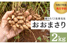 【オオマサリ】掘りたて！新鮮！八街産「生」落花生 先行予約 2025年産