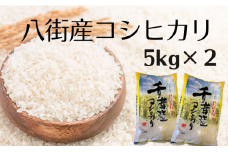 【5㎏×2】五つ星お米マイスター厳選「八街産 コシヒカリ （ 白米 ）」 精米5kg 精米10kg 米5kg 米10kg 精米 お米 