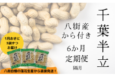落花生 【6か月・隔月定期便】八街産カラ付落花生 「千葉半立」