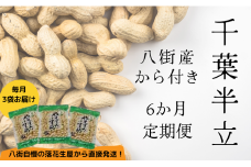 落花生 【6か月定期便】八街産カラ付落花生 「千葉半立」