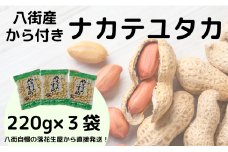 落花生 千葉県八街市産 計660g 【千葉県八街市】さや煎り落花生「ナカテユタカ」（220g×3袋/殻付き）