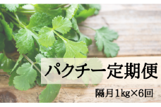 【隔月定期便】香り高き新鮮パクチー 1㎏×6回お届け