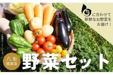 八街産直会  こだわり の 旬 野菜セット 6～7品 野菜 野菜詰め合わせ 八街市 千葉県 産地直送 春夏野菜