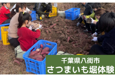 【最大5名まで】さつまいも堀り体験+お土産付き
