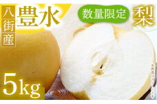 先行予約 豊水 梨 5kg なし 送料無料 取り寄せ おすすめ 人気 ナシ 限定  国産 期間 秋 季節 フルーツ 果物 くだもの 旬 千葉県 特選 ギフト 糖度 和梨 八街 土屋梨園