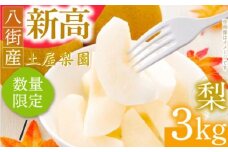 先行予約 新高 梨 3kg なし 新高 送料無料 取り寄せ おすすめ 人気 ナシ 限定  国産 期間 秋 季節 フルーツ 果物 くだもの 旬 千葉県 特選 ギフト 糖度 和梨 八街 土屋梨園