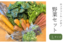 【 Lサイズ 】 有名シェフ御用達 ◆ エコファーム・アサノの 野菜セット 詰合せ 野菜詰め合わせ 新鮮 産地直送