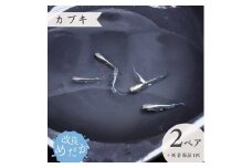 【カブキ】美しき 改良めだか （２ペア＋死着保証１匹）  メダカ めだか めだか屋らん