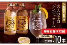 【毎月お届け12回】 八街生姜ジンジャーエール （ 250ml × 10本 × 12回 ） ジンジャーエール 生姜 八街 定期便 ジュース ジンジャー 瓶 ビン セット