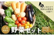 ［旬野菜の定期便3ヶ月］八街産直会 こだわり の 旬 野菜セット 6～7品 野菜 野菜詰め合わせ 八街市 千葉県 産地直送 春夏野菜  3か月定期便 野菜定期 野菜定期便