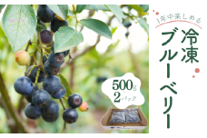 冷凍ブルーベリー 500g×2パック 八街市 ブルーベリー 果物 フルーツ ブルーベリー冷凍 ブルーベリー大粒