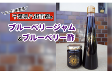 【おひさま畑のブルーベリー園】ブルーベリージャム（1本）&ブルーベリー酢（1本） ブルーベリー 酢 フルーツ酢 ジャム無添加 ジャム国産 八街産 八街 千葉