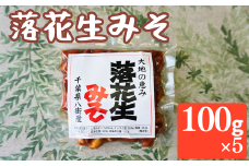 落花生みそ （真空パック） 100g × 5パック ピーナツみそ ピーナッツみそ ピーナッツ 落花生 落花生千葉 八街 千葉 実川文雄商店
