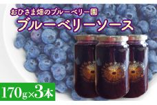 【おひさま畑のブルーベリー園】ブルーベリーソース（170g）3本