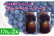 【おひさま畑のブルーベリー園】ブルーベリーソース（170g）2本