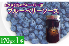 【おひさま畑のブルーベリー園】ブルーベリーソース（170g）1本 ブルーベリー