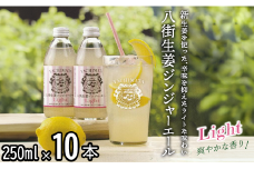八街生姜ジンジャーエールLIGHT（10本セット） ジンジャーエール 生姜 八街 ジュース ジンジャー 瓶 ビン セット 辛口 定期便 ギフト 辛口 濃厚 飲料 炭酸 炭酸飲料 生姜 国産 贈答用 千葉