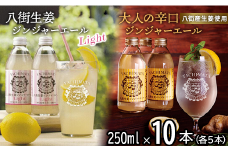 八街生姜ジンジャーエールLIGHT ＋八街生姜ジンジャーエール　計10本セット ジンジャーエール 生姜 八街 ジュース ジンジャー 瓶 ビン セット 辛口 定期便 ギフト 辛口 濃厚 飲料 炭酸 炭酸飲料 生姜 国産 贈答用 千葉