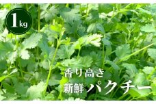 香り高き新鮮パクチー 1kg　土耕パクチー  根付き シャンツァイ 香菜 コリアンダー