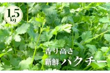 香り高き新鮮パクチー 1.5kg　土耕パクチー  根付き シャンツァイ 香菜 コリアンダー