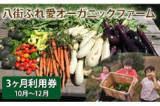 八街ふれ愛オーガニックファーム　3か月利用券（2025年10～12月）