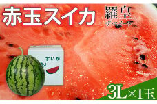 スイカ 【令和7年度出荷分】赤玉すいか（羅皇ザ・スイート）3Lサイズ×1玉 いか 西瓜 大玉 甘い みずみずしい おすすめ 直送 農家直送 山本すいか・落花生農園 八街 八街市 旬 千葉 果物 くだもの フルーツ