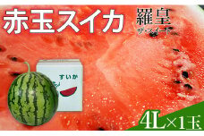 スイカ 【令和7年度出荷分】赤玉すいか（羅皇ザ・スイート）4Lサイズ×1玉 いか 西瓜 大玉 甘い みずみずしい おすすめ 直送 農家直送 山本すいか・落花生農園 八街 八街市 旬 千葉 果物 くだもの フルーツ